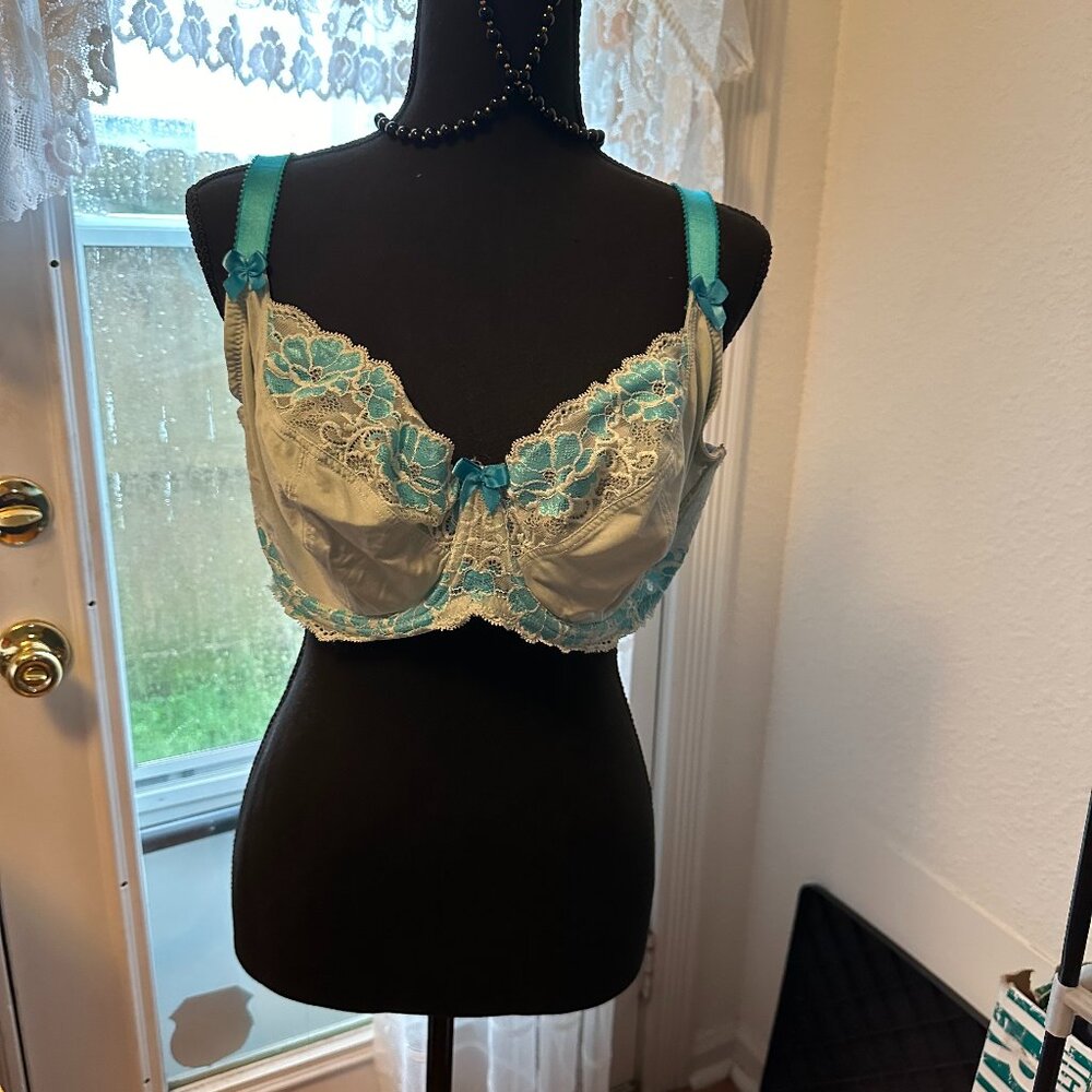 Adore Me Bra